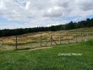 b_150_100_16777215_00_images_dolnoslaskie2_gross_oswiecim.jpg