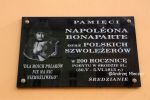 b_150_100_16777215_00_images_dolnoslaskie_sroda_napoleon.JPG