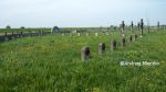 b_150_100_16777215_00_images_malopolskie10_biskupice258d.jpg