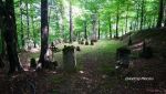 b_150_100_16777215_00_images_malopolskie10_golanka147.JPG