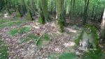 b_150_100_16777215_00_images_malopolskie10_golanka147c.JPG
