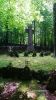 b_150_100_16777215_00_images_malopolskie10_golanka147e.JPG