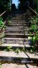 b_150_100_16777215_00_images_malopolskie10_lubaszowa151.JPG