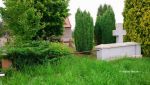 b_150_100_16777215_00_images_malopolskie10_niegowic335.JPG
