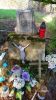 b_150_100_16777215_00_images_malopolskie10_swisnicz312g.JPG