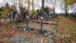 b_150_100_16777215_00_images_malopolskie10_walruda261b.JPG