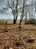b_150_100_16777215_00_images_malopolskie11_raclawice_111c.jpg