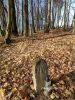 b_150_100_16777215_00_images_malopolskie11_raclawice_111d.jpg