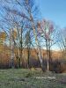 b_150_100_16777215_00_images_malopolskie11_rzepiennik_115d.jpg