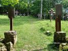 b_150_100_16777215_00_images_malopolskie12_blechnarka49b.jpg