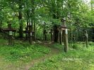 b_150_100_16777215_00_images_malopolskie12_blechnarka49e.jpg