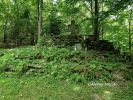 b_150_100_16777215_00_images_malopolskie12_blechnarka49g.jpg