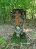 b_150_100_16777215_00_images_malopolskie12_chojnik155d.jpg