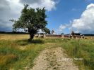 b_150_100_16777215_00_images_malopolskie12_dlugie44.jpg