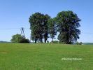 b_150_100_16777215_00_images_malopolskie12_fasciszowa292.jpg