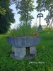 b_150_100_16777215_00_images_malopolskie12_fasciszowa292g.jpg