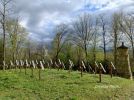 b_150_100_16777215_00_images_malopolskie12_luzna123x6.jpg