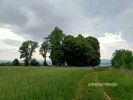 b_150_100_16777215_00_images_malopolskie12_olpiny34.jpg