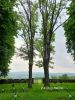 b_150_100_16777215_00_images_malopolskie12_olpiny34c.jpg