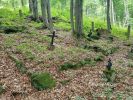 b_150_100_16777215_00_images_malopolskie12_przegonina69e.jpg
