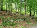 b_150_100_16777215_00_images_malopolskie12_przegonina69g.jpg