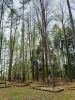 b_150_100_16777215_00_images_malopolskie12_tuchow164f.jpg