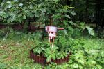 b_150_100_16777215_00_images_malopolskie2_kamionka357h.JPG