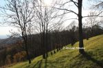 b_150_100_16777215_00_images_malopolskie2_lichwin185.jpg