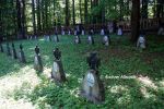 b_150_100_16777215_00_images_malopolskie2_lichwin187f.jpg