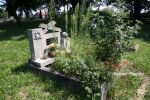 b_150_100_16777215_00_images_malopolskie2_lisiag_terror.jpg