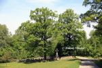 b_150_100_16777215_00_images_malopolskie2_lubinka189.jpg