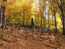 b_150_100_16777215_00_images_malopolskie2_luzna123.jpg