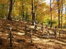 b_150_100_16777215_00_images_malopolskie2_luzna123b.jpg