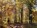 b_150_100_16777215_00_images_malopolskie2_luzna123e.jpg