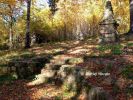 b_150_100_16777215_00_images_malopolskie2_luzna123f.jpg