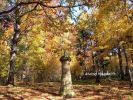 b_150_100_16777215_00_images_malopolskie2_luzna123g.jpg
