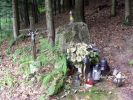 b_150_100_16777215_00_images_malopolskie2_lysag5.JPG