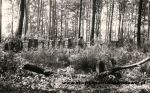 b_150_100_16777215_00_images_malopolskie2_sprzat192f.jpg