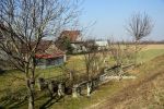 b_150_100_16777215_00_images_malopolskie3_mikolajowice216.jpg