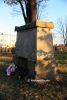 b_150_100_16777215_00_images_malopolskie3_niedomice208c.jpg