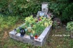 b_150_100_16777215_00_images_malopolskie3_odporysz_radz.jpg