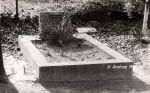 b_150_100_16777215_00_images_malopolskie3_odporysz_radzsta.jpg