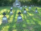 b_150_100_16777215_00_images_malopolskie3_palesnica296c.jpg