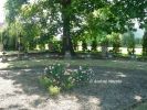 b_150_100_16777215_00_images_malopolskie4_rudka213c.jpg