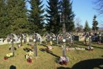 b_150_100_16777215_00_images_malopolskie4_smerekowiec56.jpg