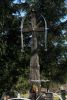 b_150_100_16777215_00_images_malopolskie4_smerekowiec56b.jpg