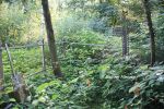 b_150_100_16777215_00_images_malopolskie4_st_wisnicz312e.jpg
