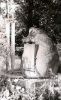 b_150_100_16777215_00_images_malopolskie4_stroze_stare.jpg