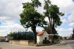 b_150_100_16777215_00_images_malopolskie4_tarnowiec180d.jpg