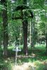 b_150_100_16777215_00_images_malopolskie4_tuchow164d.jpg